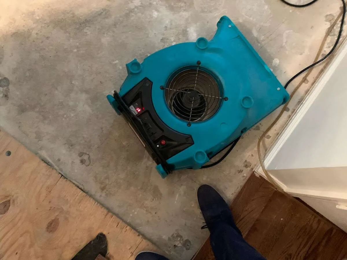 Air mover drying subfloor during Leak Detection & Repair in Galliano